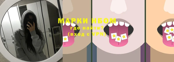 стаф Вяземский