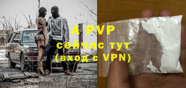 стаф Вяземский