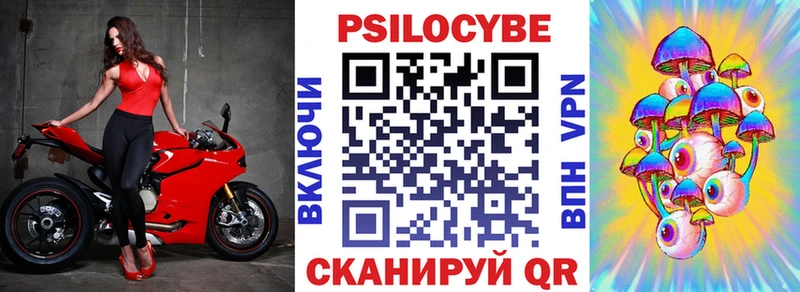 Псилоцибиновые грибы Psilocybe  Ипатово 